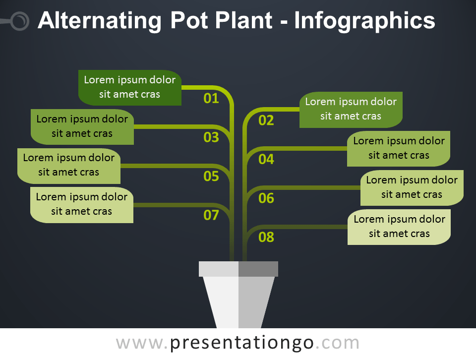 vector infographic presentation