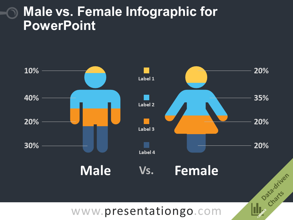 presentation template infographic