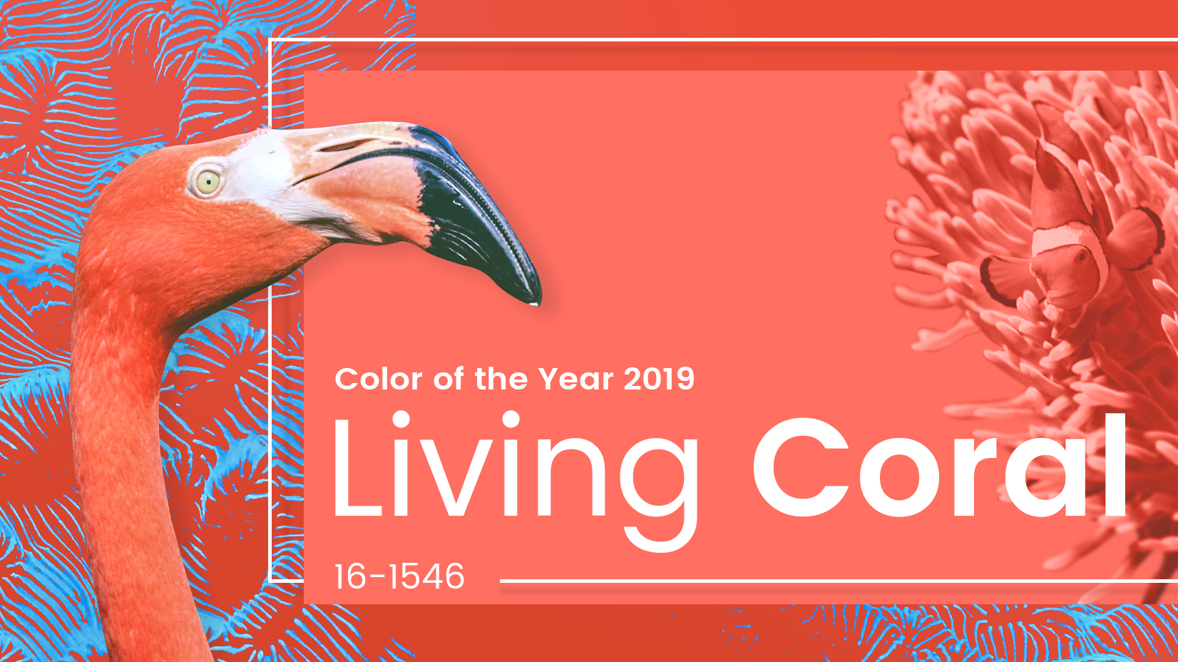 'Living Coral' is Pantone Color of The Year 2019