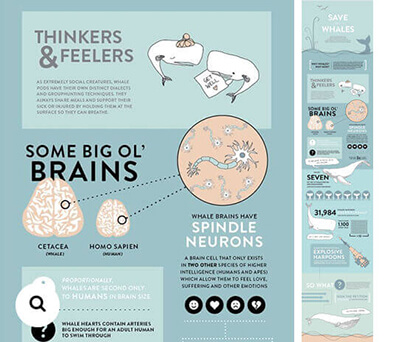 Structure your infographic as a story