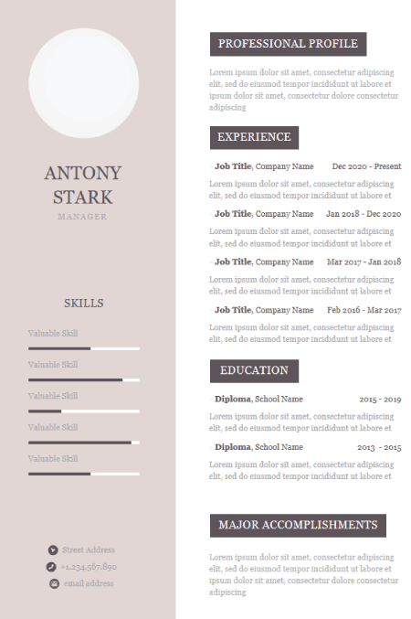 infographic resume template ppt