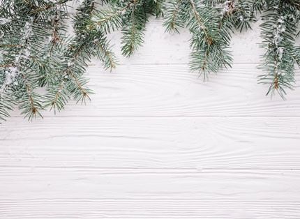 White Free Simple Christmas Background