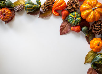 Thanksgiving Free Full HD Photo Background