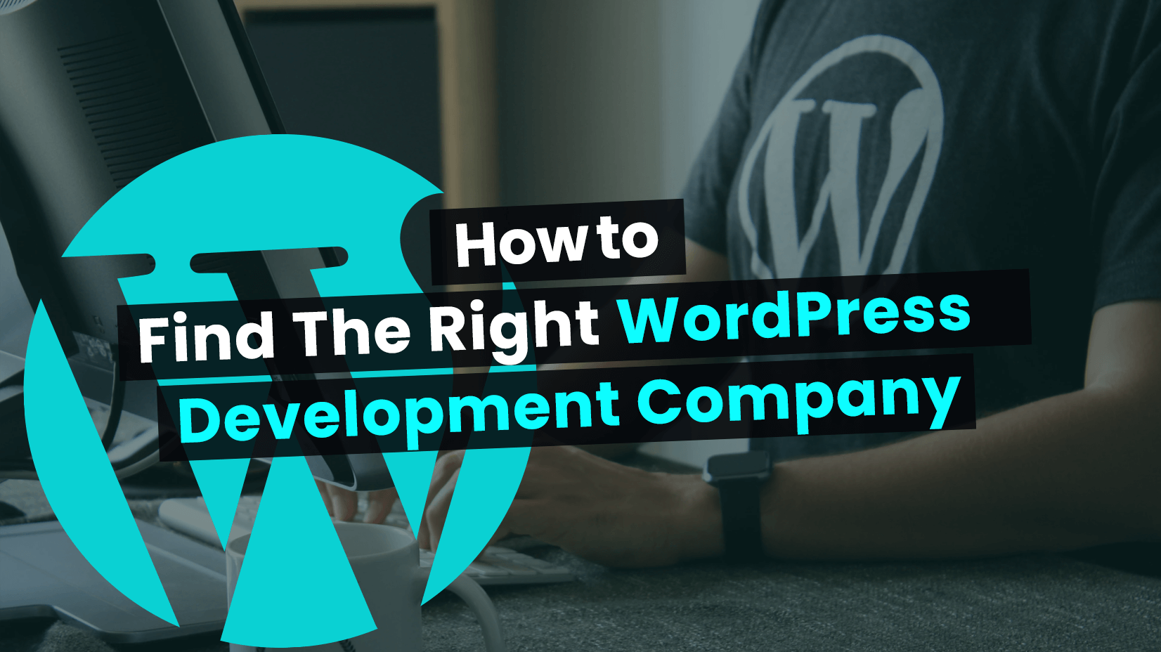 How to Find The Right WordPress Development Company for You