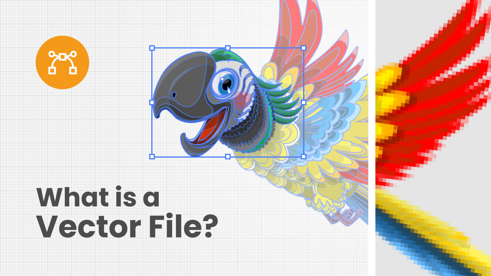 What is Vector File