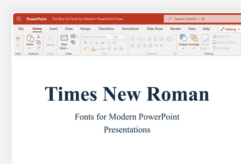 Times New Roman font