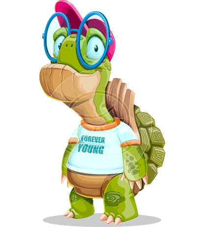 Funny Turtle Cartoon Character