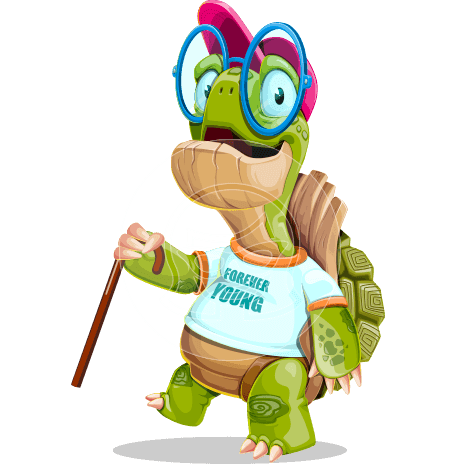 Funny Turtle Cartoon Character