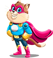 Cat Hero Cartoon Character