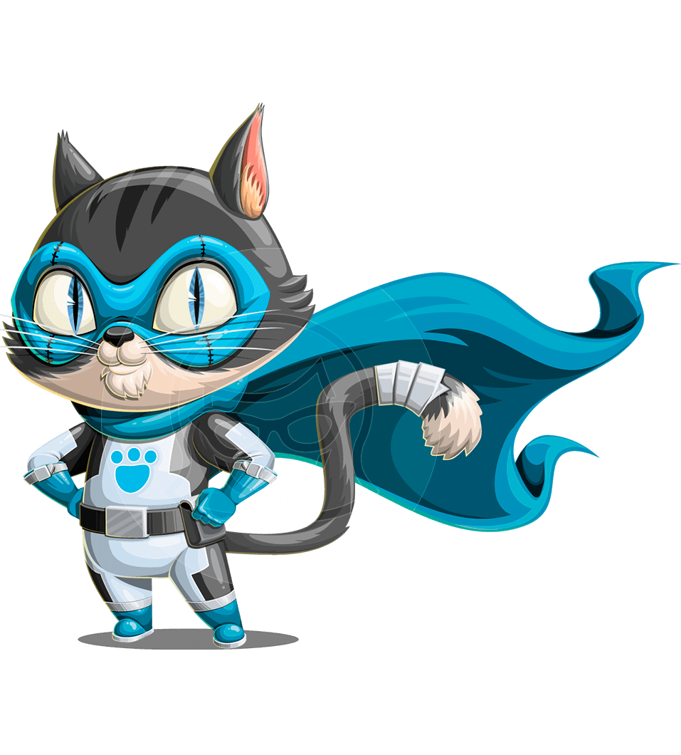 Super Cat Cartoon Character